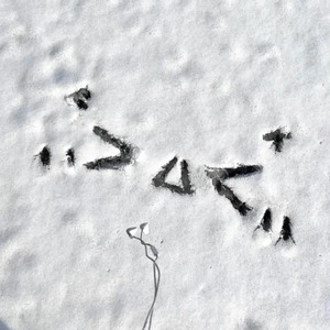 欧美⭕⭕⭕⭕XXXX961
